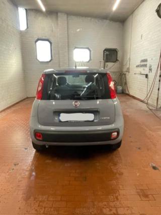 FIAT Panda usata 16