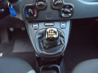 FIAT Panda usata 19