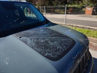 JEEP Renegade usata, con ESP