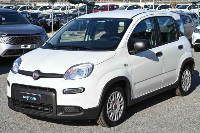 FIAT Panda usata 21