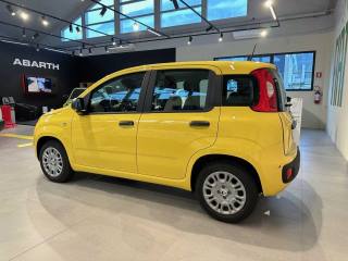 FIAT Panda usata, con Airbag