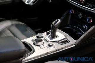 ALFA ROMEO Stelvio usata 53