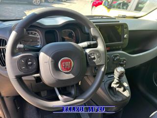 FIAT Panda Cross usata, con Immobilizzatore elettronico