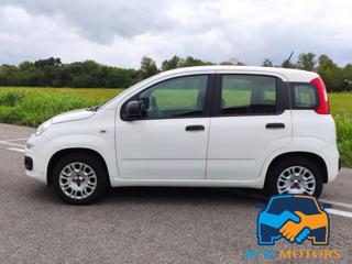 FIAT Panda usata, con Alzacristalli elettrici