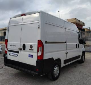 FIAT  usata 2