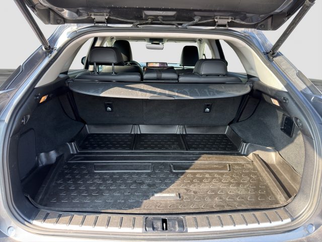 LEXUS RX 450h usata 13