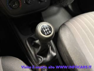 FIAT Punto usata, con Bracciolo