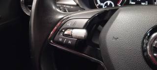 SKODA Fabia usata, con Airbag testa