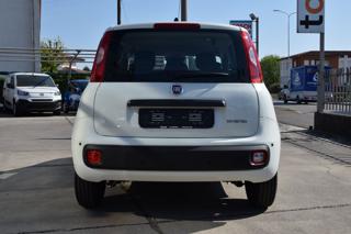 FIAT Panda usata, con Antifurto