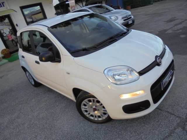 FIAT Panda usata 14