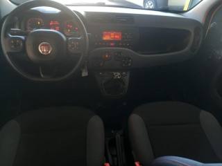 FIAT Panda usata 26