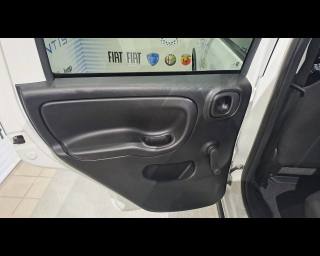 FIAT New Panda usata 23