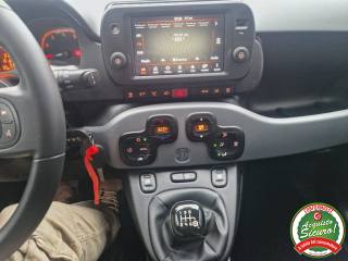 FIAT Panda usata, con Controllo trazione