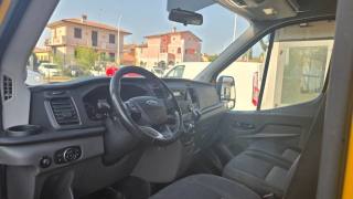 FORD Transit usata, con Bracciolo