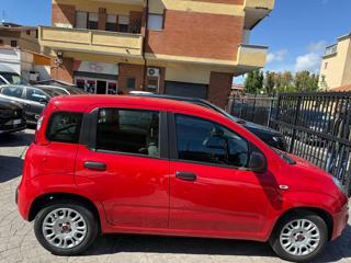 FIAT Panda usata, con Climatizzatore