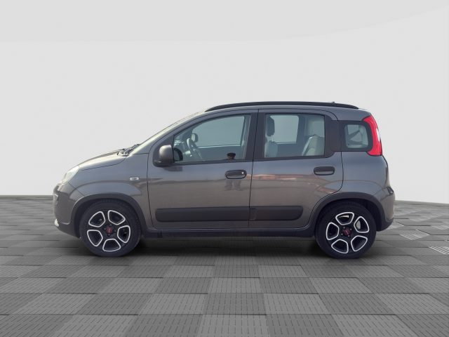FIAT Panda usata 2