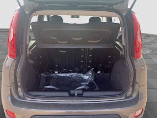 FIAT Panda usata 12