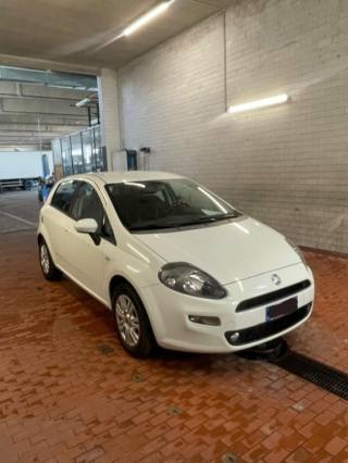 FIAT Punto usata, con Fendinebbia