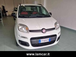 FIAT Panda usata, con Airbag Passeggero