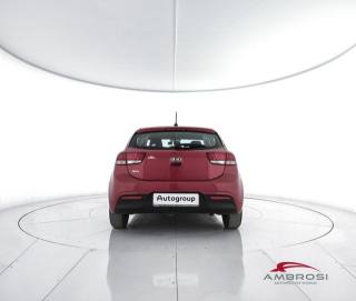 KIA Rio usata 5