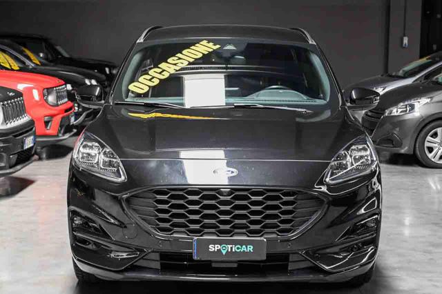 FORD Kuga usata, con Interni in pelle
