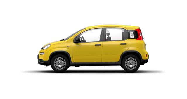 FIAT Panda usata, con Airbag Passeggero