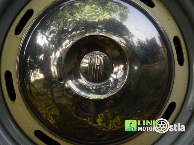 FIAT 1100 usata 46