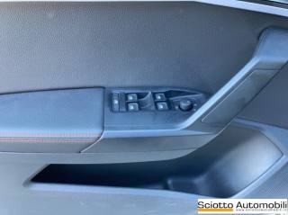 SEAT Ibiza usata, con Fendinebbia