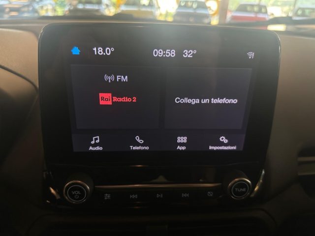 FORD EcoSport usata, con Bracciolo