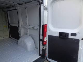 FIAT Ducato usata, con Filtro antiparticolato
