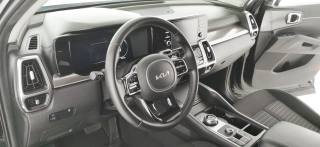 KIA Sorento usata 69
