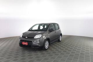 FIAT Panda usata 6