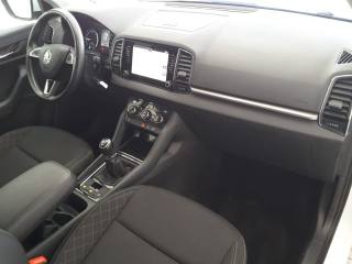 SKODA Karoq usata, con Cruise Control