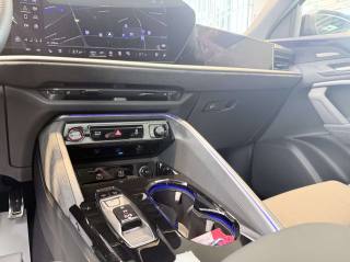 AUDI SQ5 usata, con Immobilizzatore elettronico