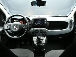 FIAT Panda Cross usata, con Fendinebbia
