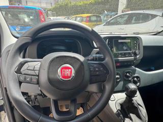 FIAT Panda usata, con Cruise Control