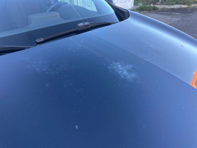 RENAULT Megane usata, con Cruise Control