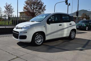 FIAT Panda usata, con Airbag Passeggero
