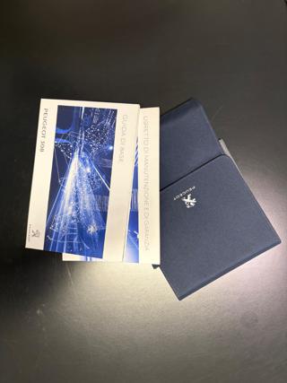 PEUGEOT 308 usata, con Immobilizzatore elettronico