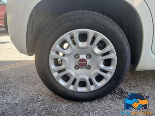 FIAT Panda usata 19