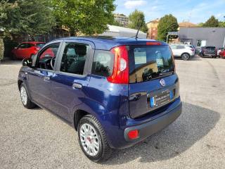 FIAT Panda usata, con ESP