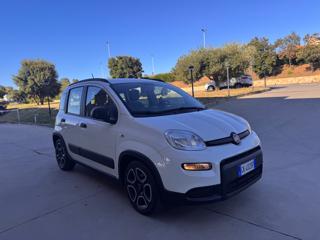 FIAT Panda usata 32