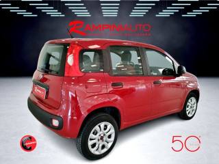 FIAT Panda usata 6