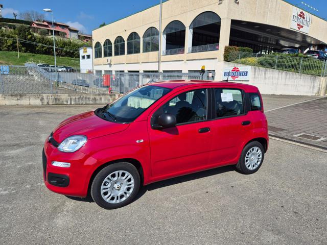 FIAT Pandina usata, con Airbag laterali