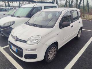 FIAT Panda Panda III 2016 1.2 Pop s - GC225GB