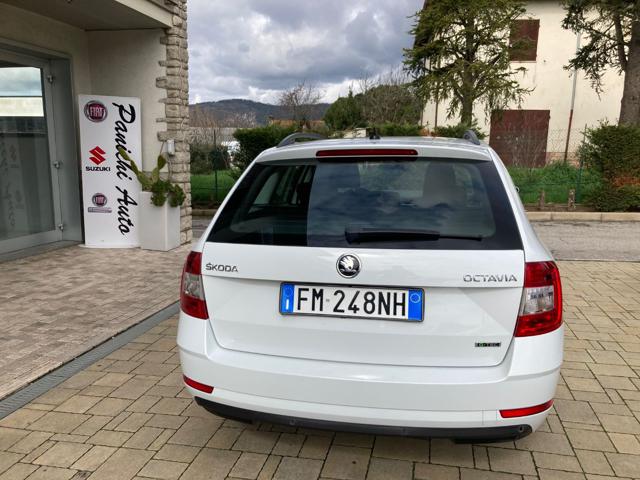 SKODA Octavia usata, con Autoradio