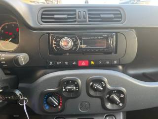 FIAT Panda usata 12