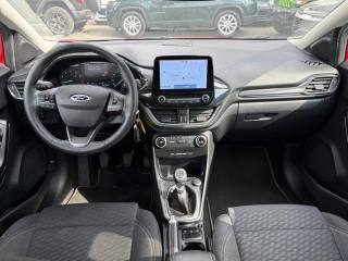 FORD Puma usata, con Fendinebbia