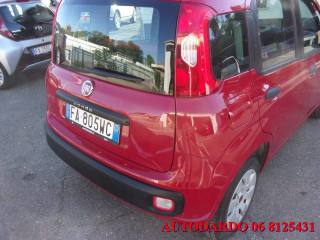 FIAT Panda usata 12