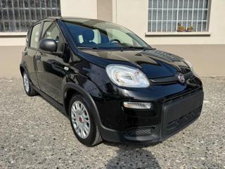 FIAT Panda usata, con Airbag laterali